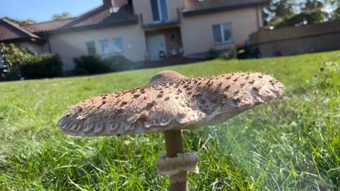 Kopice " Kowalczyk Hotel Residences In Nature Parks " Goleniow Bagian luar foto